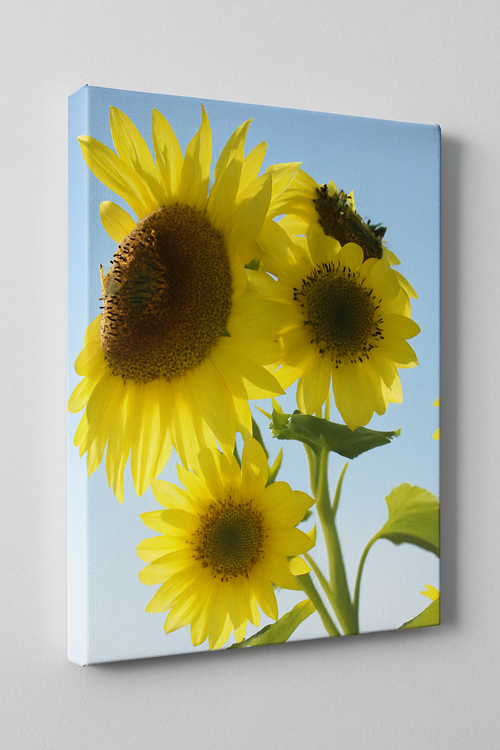 Canvas Print 18" x 24" (Copy)