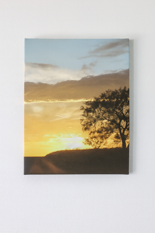 Canvas Print 18" x 24"